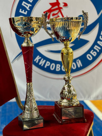 ПФО 2024